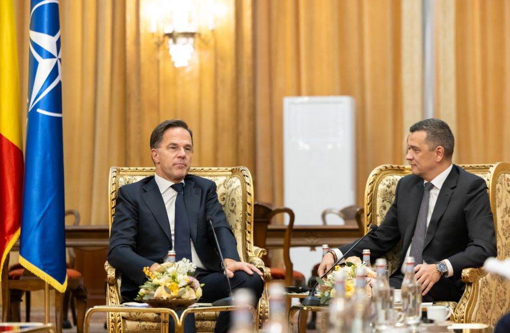 Sorin Grindeanu a discutat cu Mark Rutte despre consolidarea prezenţei NATO pe flancul estic